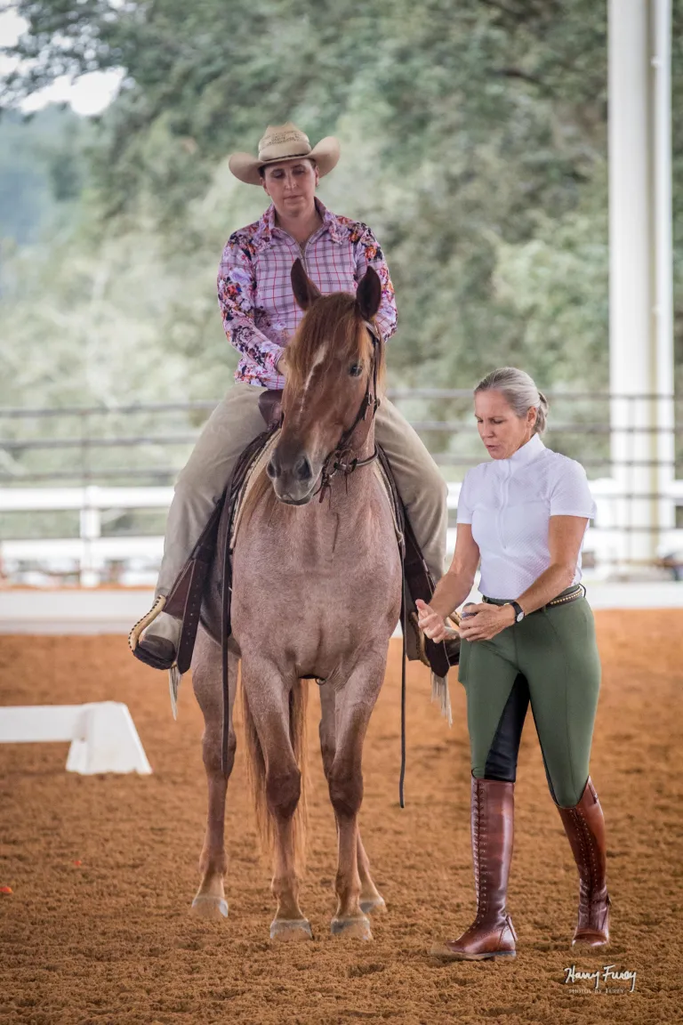 Instructor on horse with student standing beside