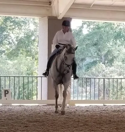 Rider in indoor equestrian arena